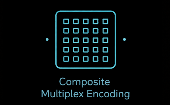 Composite multiplex encoding icon