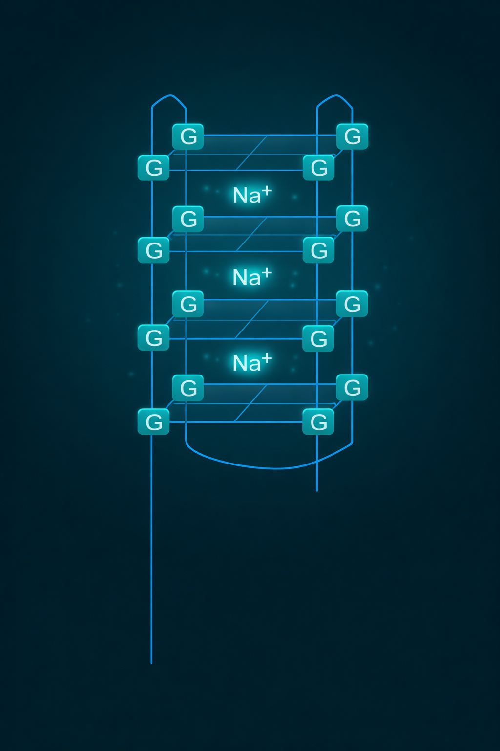 Electroactive quadruplex signal tag diagram